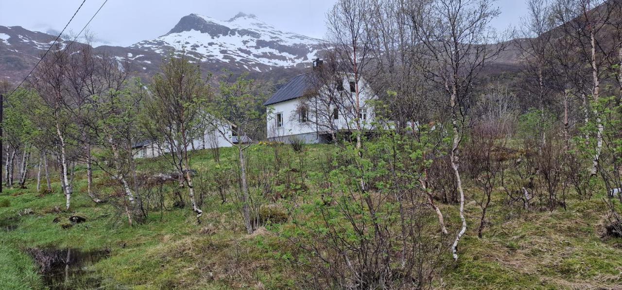 Pilan Lodge Lofoten Vestpollen 外观 照片